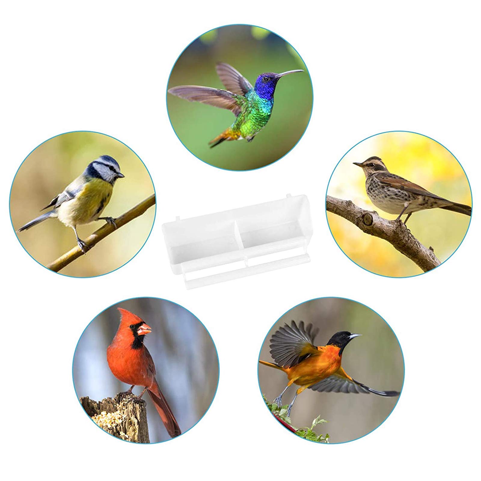 GSHLLO Vogelfutterschalen Aus Kunststoff – 4 Stück, 18,5 X 4 Cm, Transparent, Für Draußen