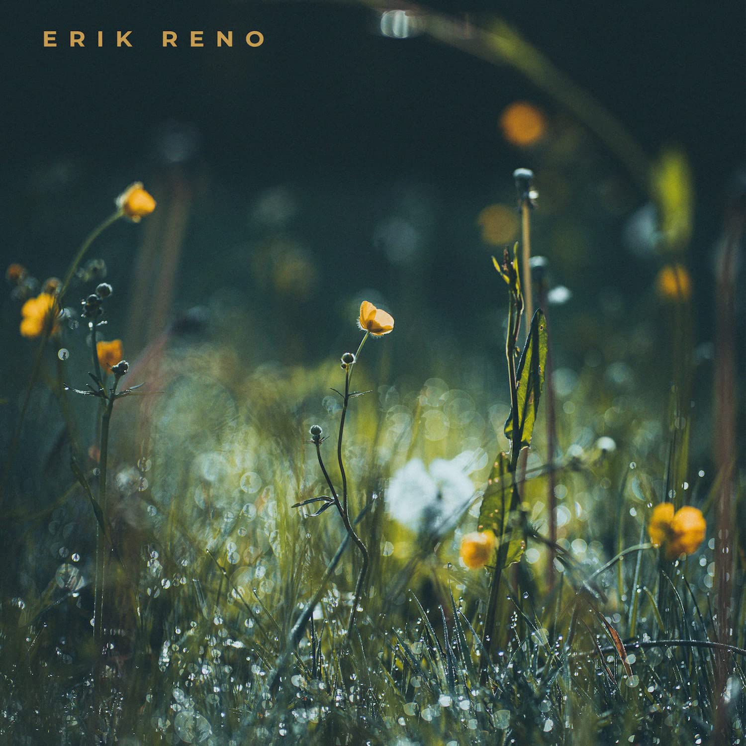 Erik Reno