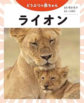 【2点購入150円引】ライオンくんがうまれたよ　やまもとよしこ sddefault.jpg