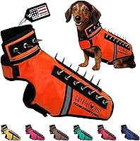 Vista 1 de CoyoteVest SpikeVest - Chaleco de arnés para perro, accesorios reflectantes para perros con picos para proteger a tu mascota de ataques de Raptor