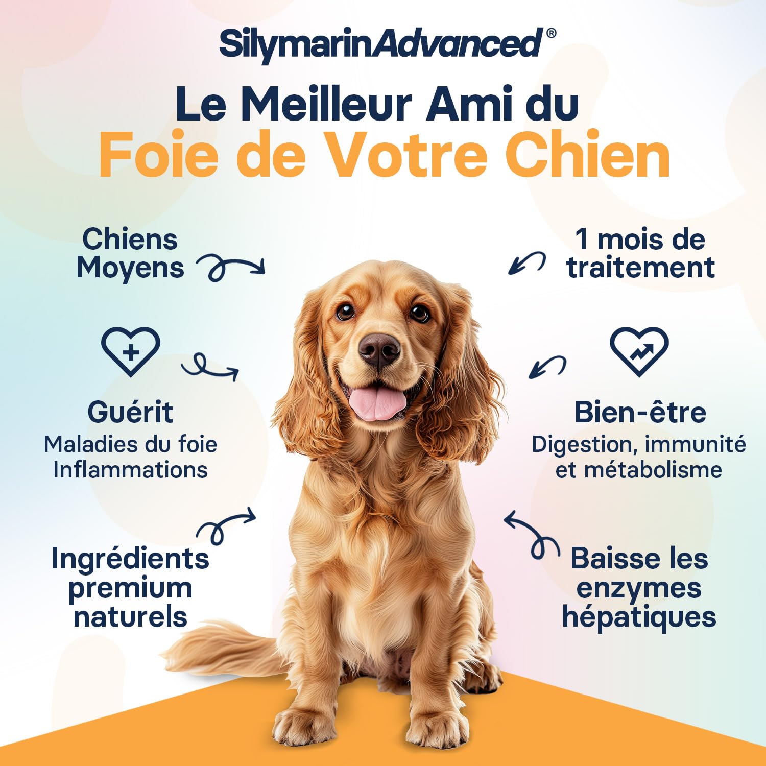 Complément Foie pour Chiens de Taille Moyenne - Complément De Chardon Marie pour Le Soutien du Foie des Chiens - avec S-adénosylméthionine (Same) Et Silybine - 30 Comprimés