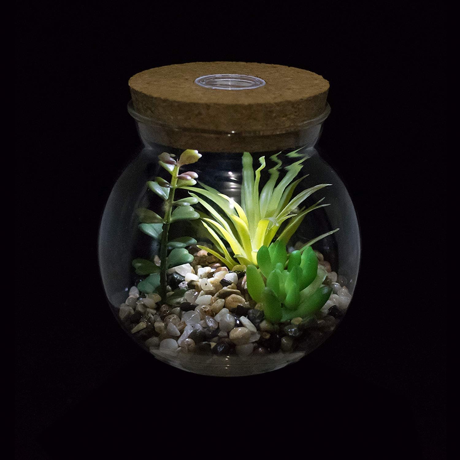 Sztuczne Doniczki Do Terrarium Succulet I Marimo Z Białym światłem Led Cork Desig Miiature Fake Plats Faux Cactus Potted Bosai Idoor Desktop Decor Do Sypialni Gabinet, Clear 2, 10.5cm*11.9cm(D*H)
