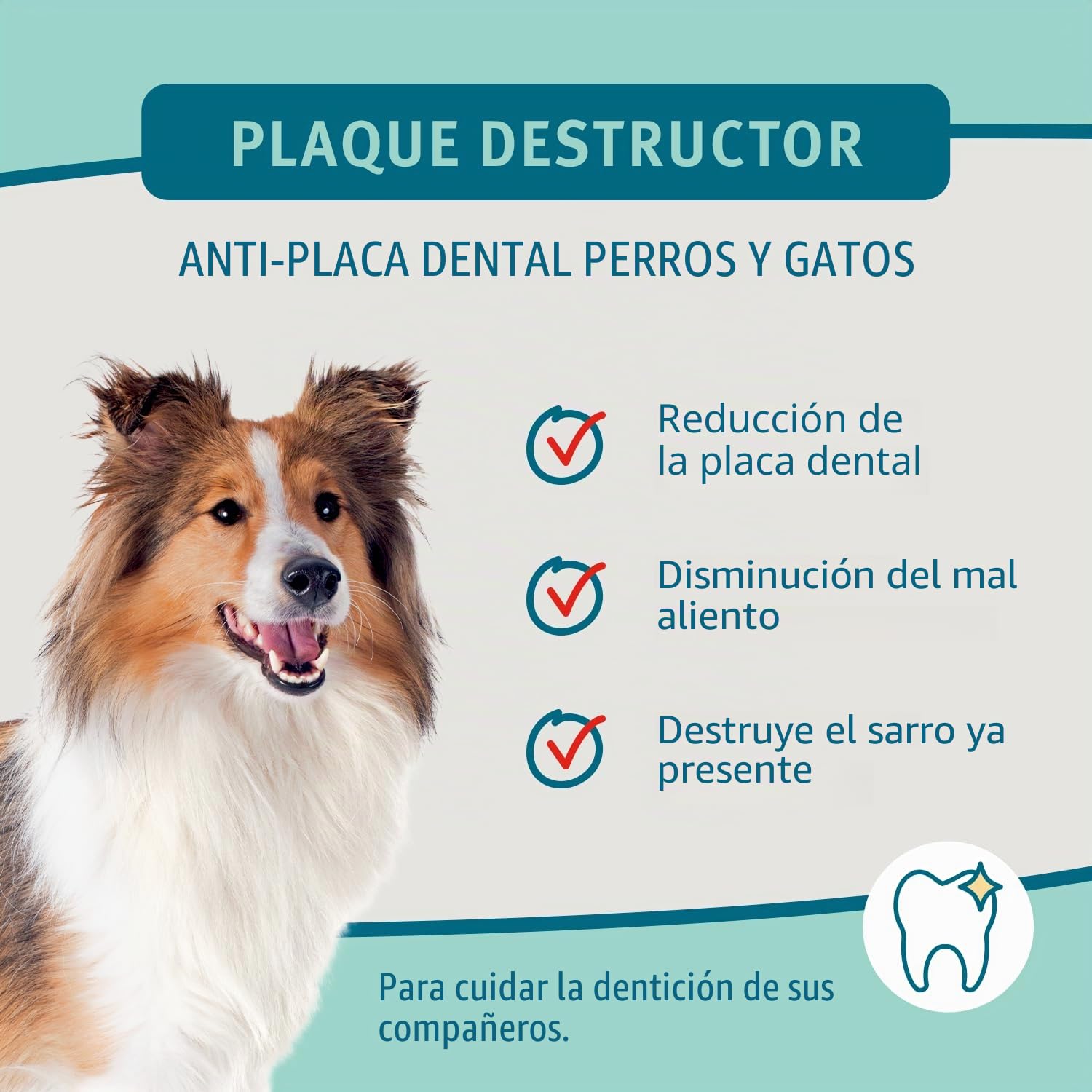 BUBIMEX – Placa Destructor – Higiene bucal para Perro y Gato – Combate la Placa Dental y el Mal Aliento – Fórmula orgánica a Base de Alga marrón 100% – 160 g