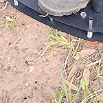 Review Image by Celeste Celeste