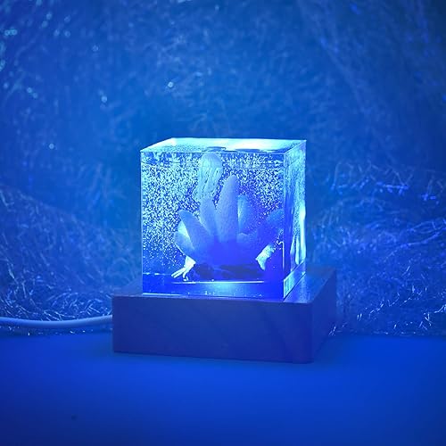 Miniatura 2 de YAKAMOZ Base de exhibición de luces LED, 2 piezas, soporte de base iluminada de madera para arte de resina de vidrio láser