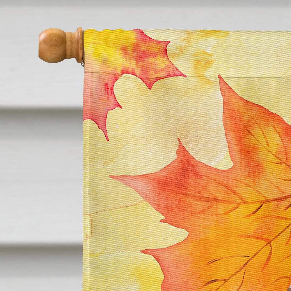 Caroline's Treasures BB9970CHF Doberman Pinscher Fall House Flag, Yellow Large Porch Sleeve Pole Decorative Outside Yard Banner Artwork Wall Hanging, Polyester, House Size, Multicolor