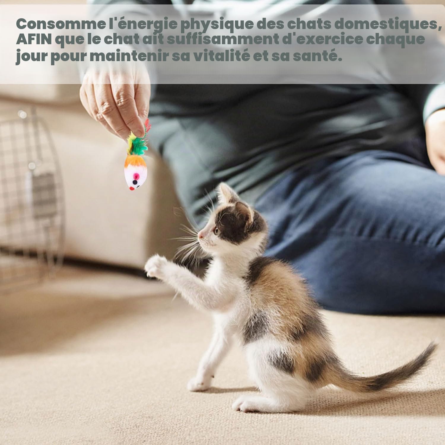 10 Pièces Chat Souris Jouet Chat Interieur avec Hochet Sons Convient Aux Chats pour Jouer(Couleur Aléatoire)