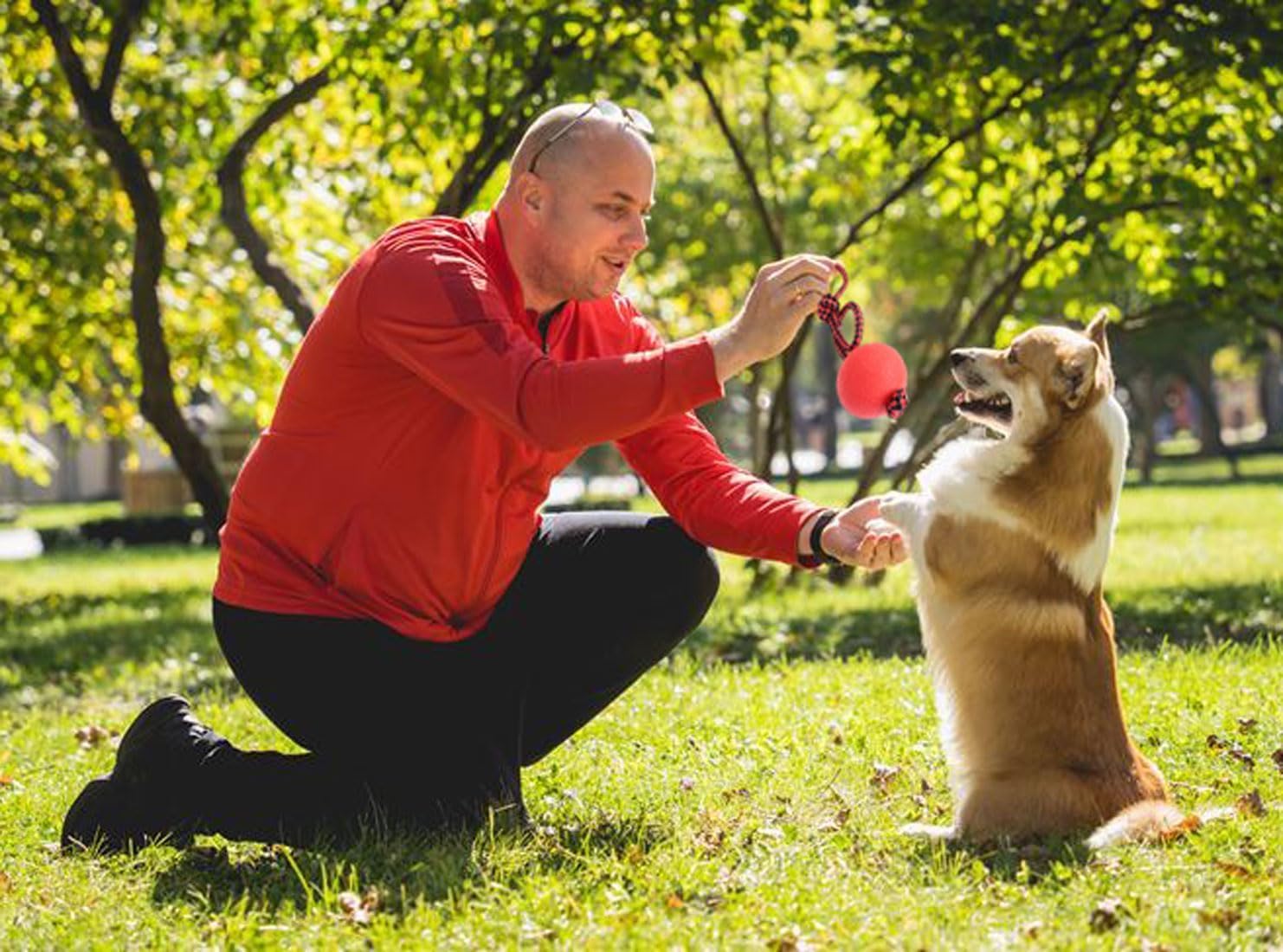 4 Pezzi PallaperCani con Corda,PallaperCane con Corda,Palla da Addestramento Cani e Catti,Pallina in Gomma Naturale,Adatto per l'addestramento e l'allevamento di animali domestici