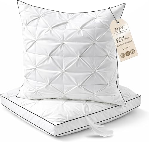 Oreiller Plumes et Duvet d'oie 60x60 cm Lot de 2, 3 Chambres BPC