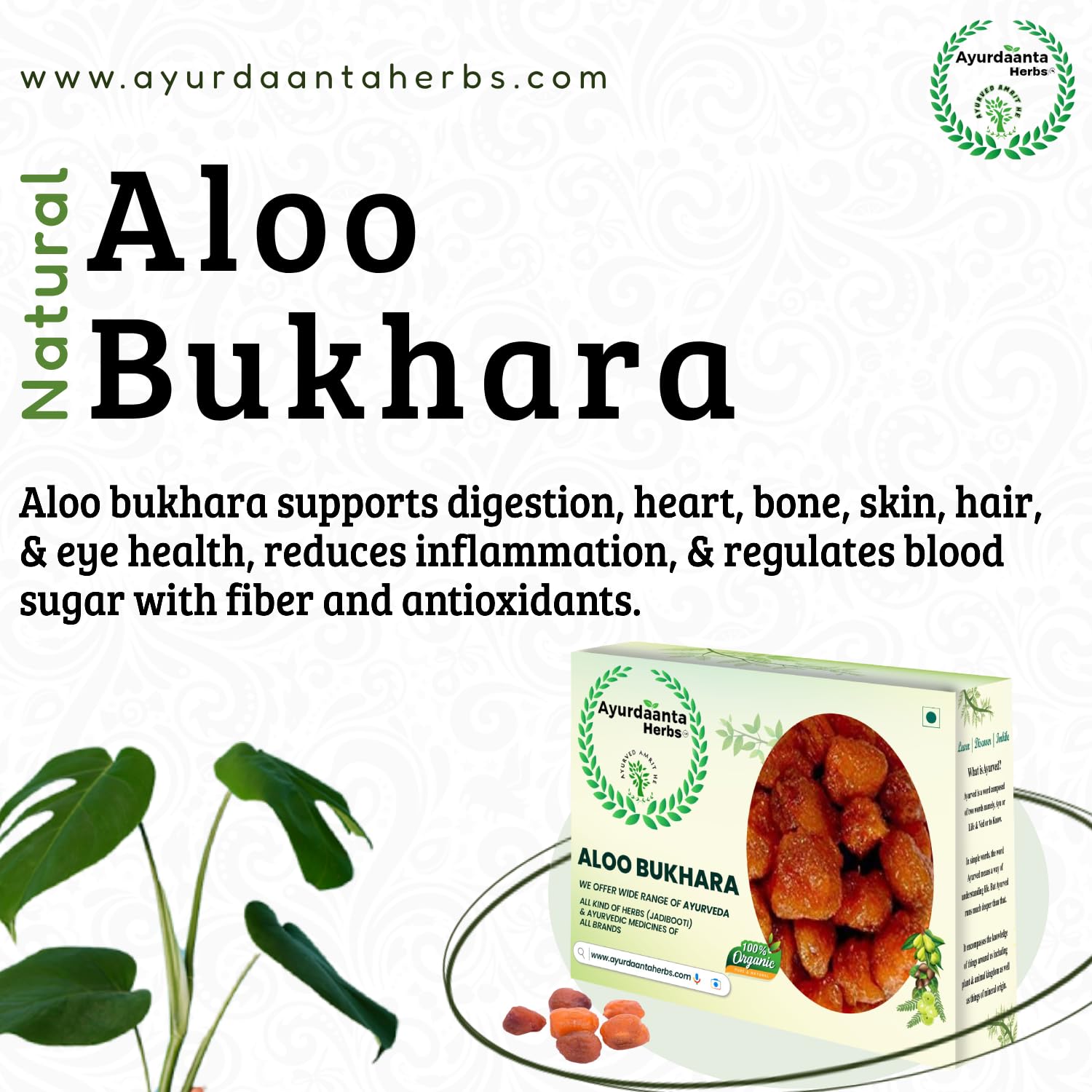 Ayurdaanta Herbs - Aloo Bukhara 250Gr.| Dried Plum in Dry Fruits | Aloo bokra | Dried Plums | Aalu bukhara | Dried Plums | Aloo Bhukara | आलू बुखारा सूखा 250Gr. | सूखा आलू बुखारा 4