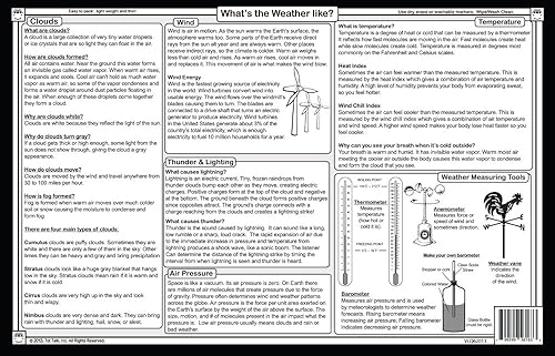 Miniatura 2 de Mantel individual