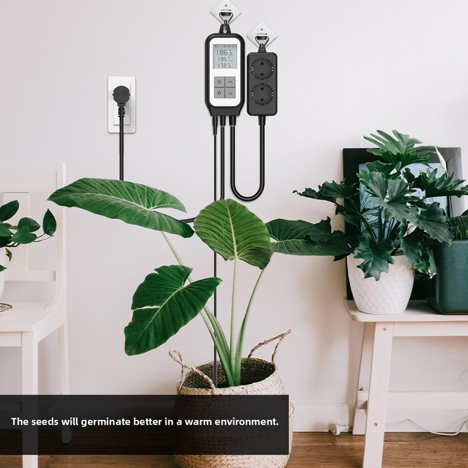 Eujgoov Digitaler Temperaturregler, WiFi-Thermostatausgang mit Austauschbarer Wasserdichter Sonde, für die Inkubation von Aquariengewächshäusern (EU-Stecker 220–250 V)