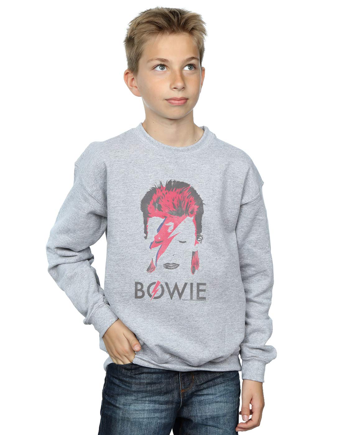 Absolute Cult Boys Sport Grey David Bowie Aladdin Sane Distressed Sweatshirt 5-6 Years