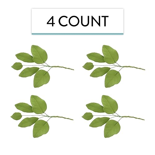 Miniatura 3 de Global Sugar Art Spray verde claro de 5 hojas para pastel de azúcar, 4 unidades por Chef Alan Tetreault