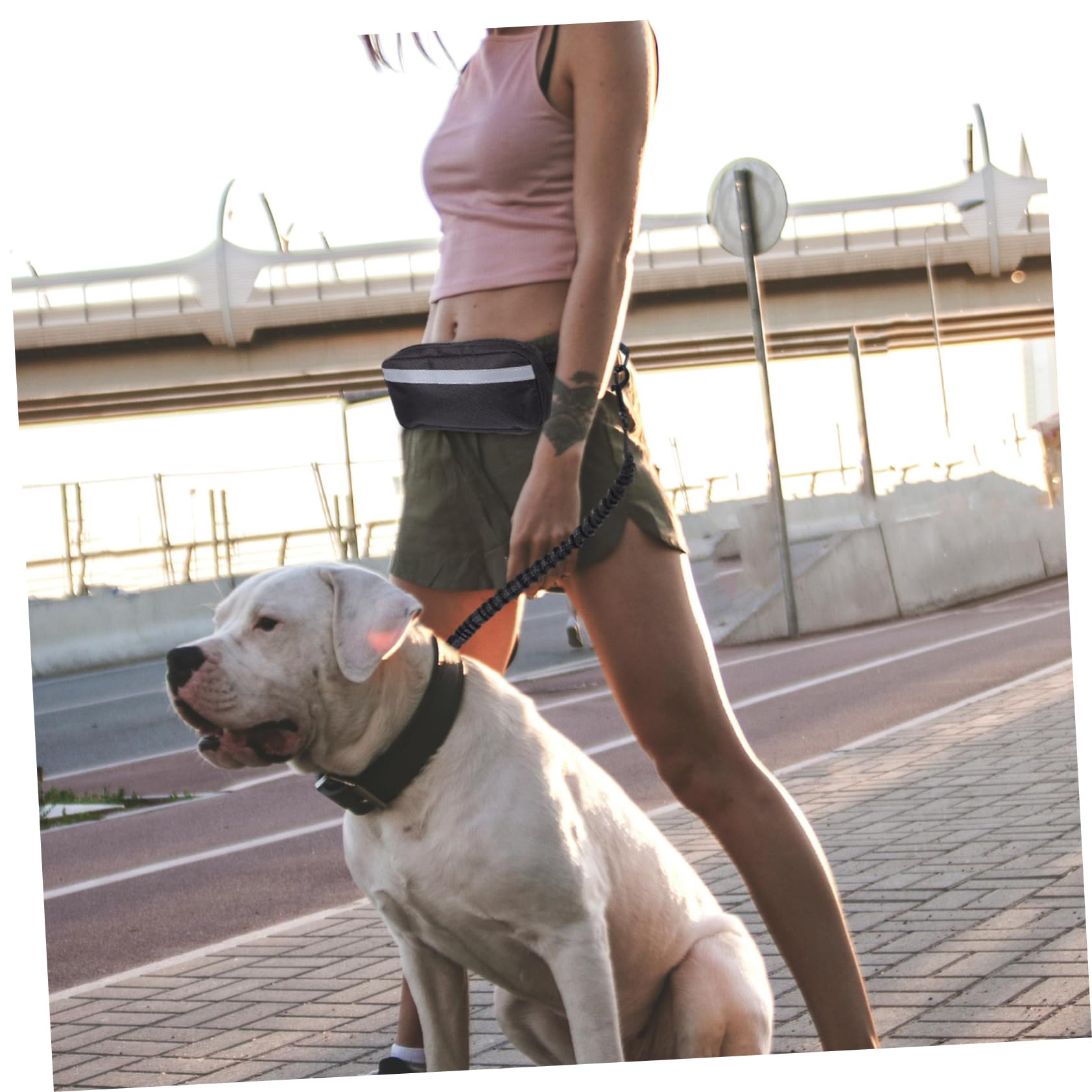iplusmile Guinzaglio Elastico per Cani con Cintura da Corsa Riflettente e Marsupio per Passeggiate Escursioni e Attività all Aperto