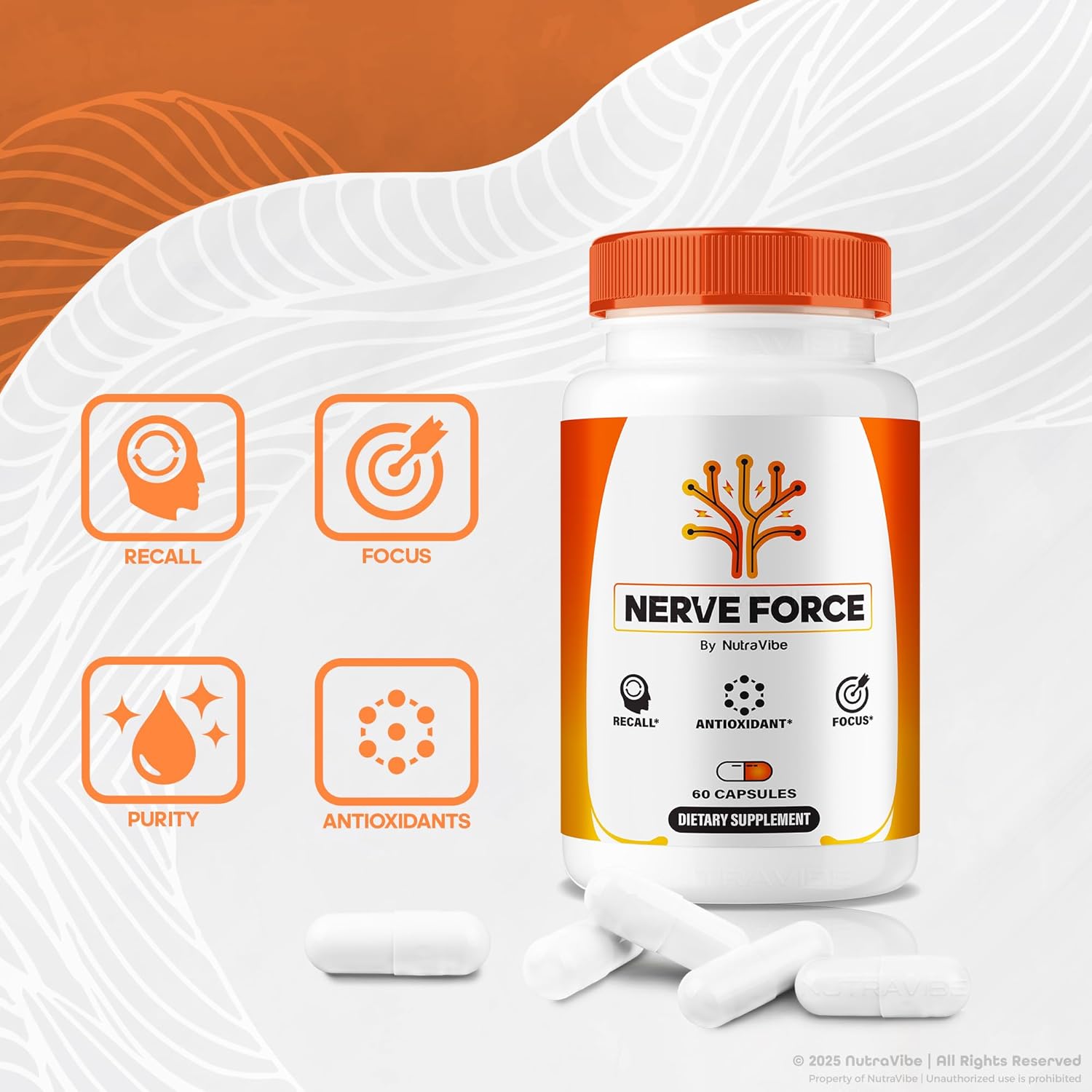 Nerve Force – Premium Neuropathy Blend for Brain, Nerves & Concentration | NerveForce Capsulas for Memory, Focus & Clarity | Easy-to-Take for Daily Support, 30 Day Supply (60 Capsules) - Image 5