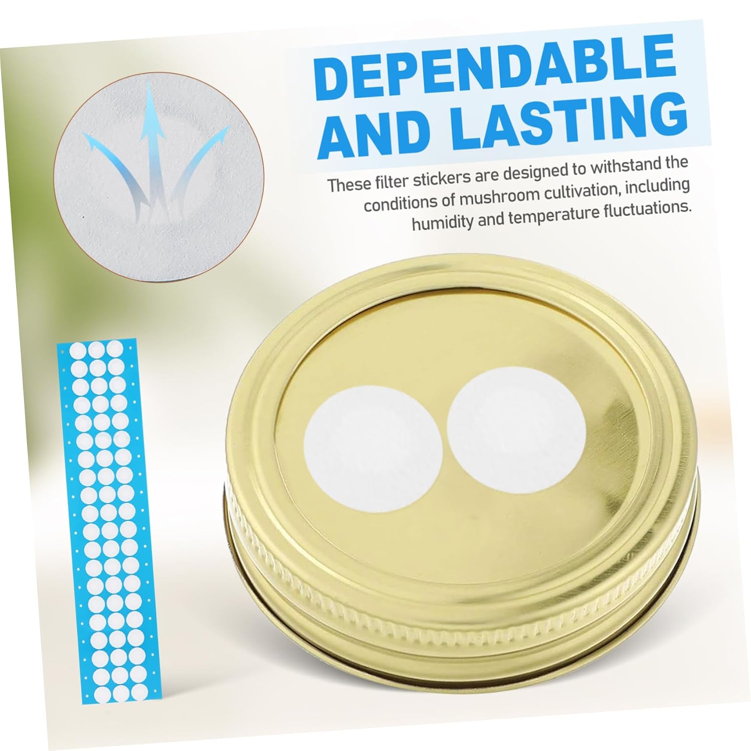 Alipis 1Sheet Supplies Filter Patches Adhesive Filter Stickers for Easy Application Mycology Dependable and for Jar Lid Filtration