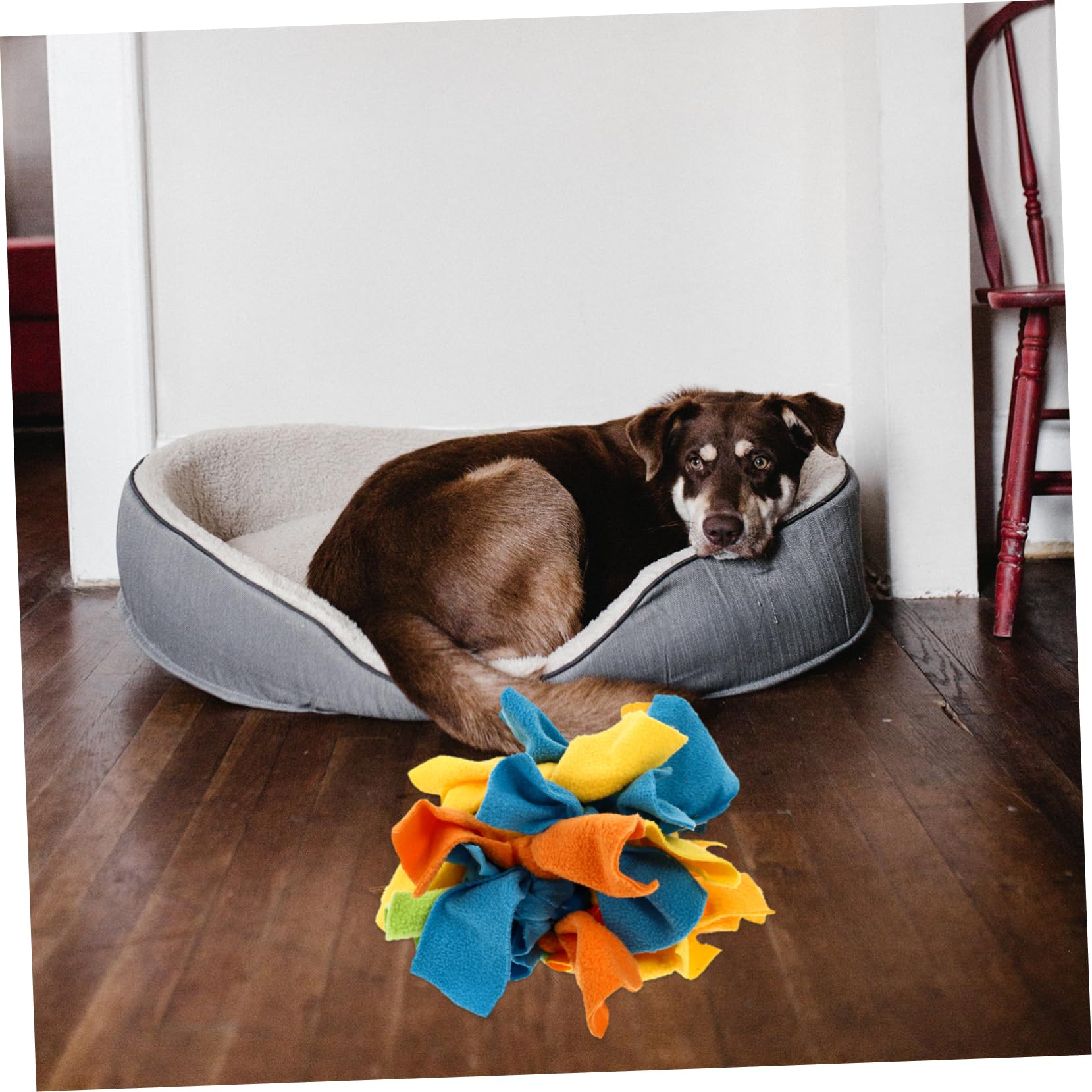 minkissy Juguete de Tela Perros Alimentación para Interactivo Lenta Tira