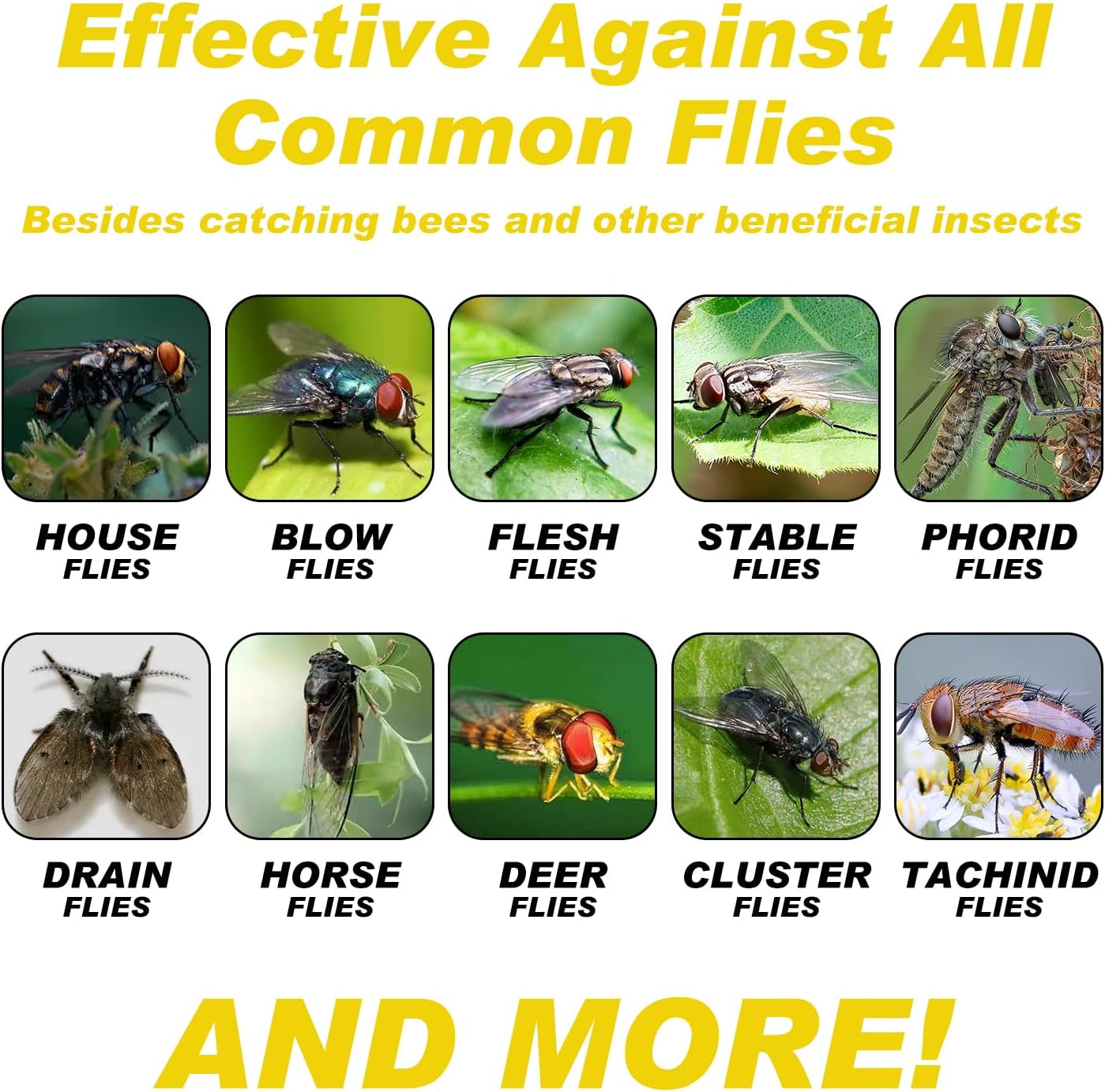 Outdoor Fly Traps for Patio, 8 Pack Pre-Baited Big Fly Bags Outdoor Disposable, Hanging Fly Catcher Hunter Stable Horse Ranch Control Repellent Killer for Barn, Farm