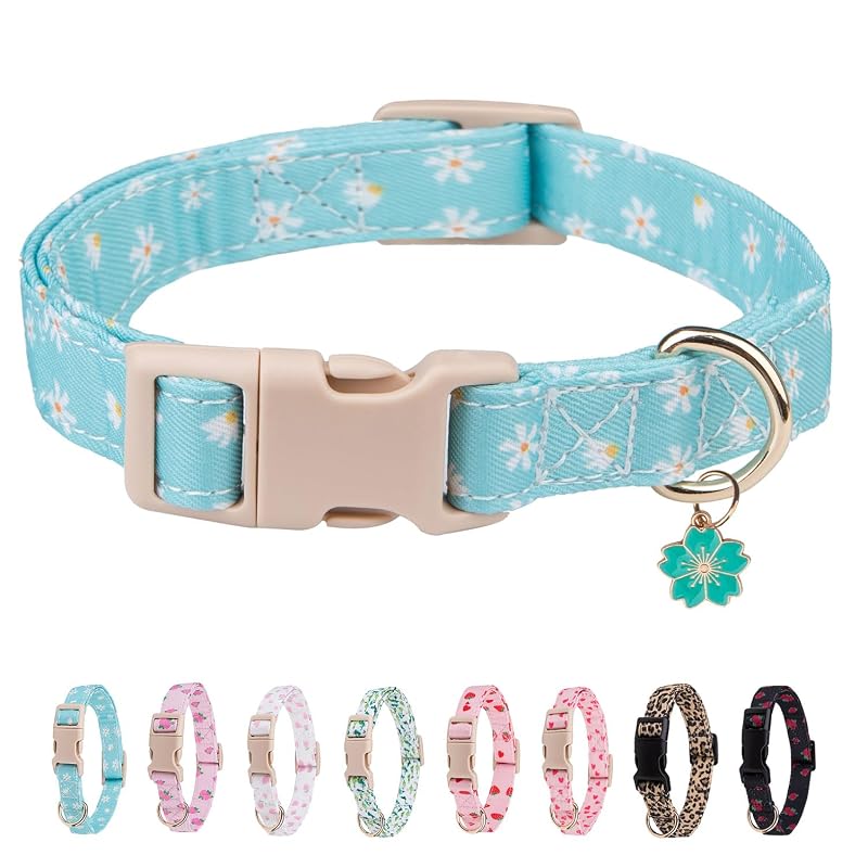 Coleira ajustável para cães em algodão e poliéster com pingente removível Blue Daisy L Bencacawinstyle