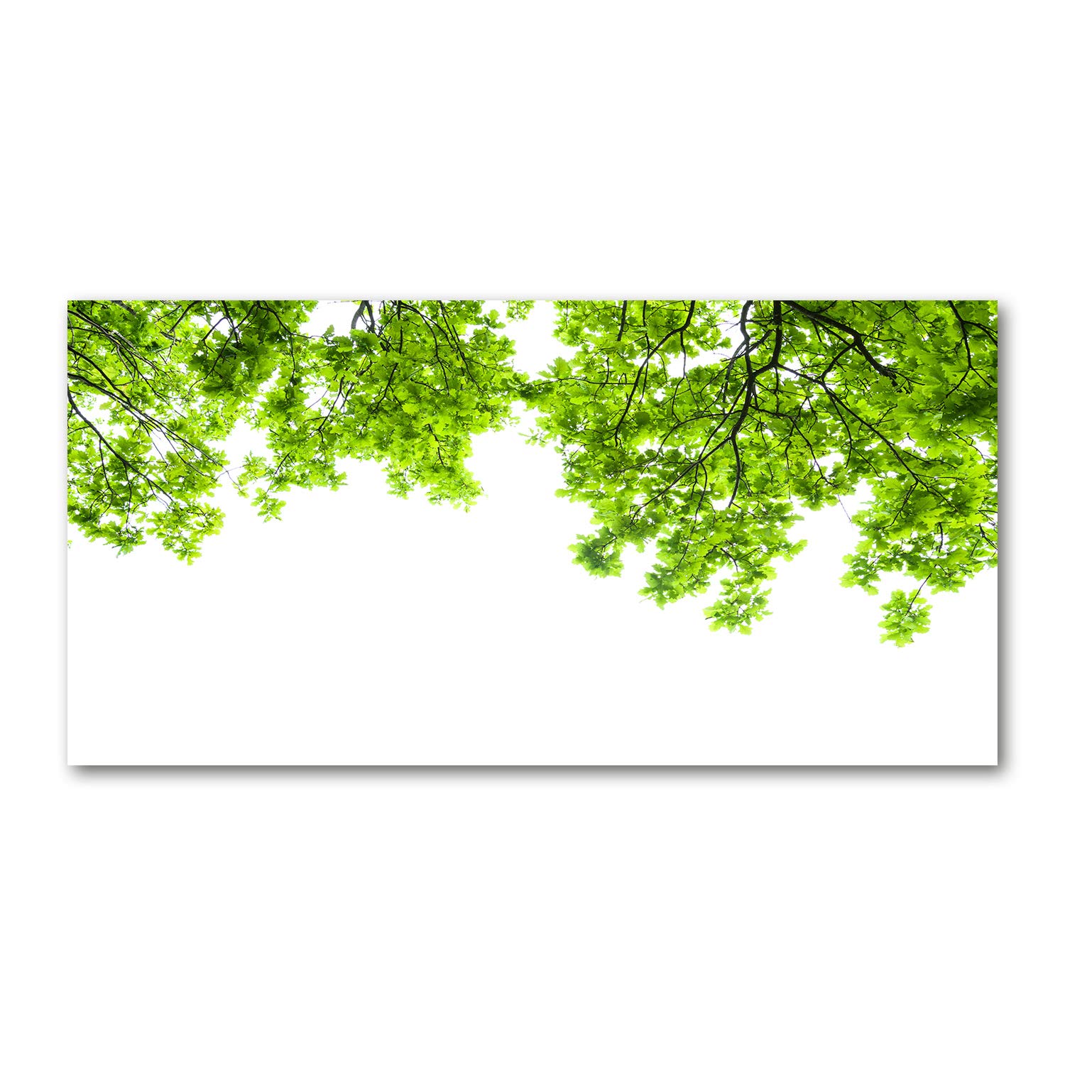 Image verre plastique 140x70 cm tableau plexiglas vert feuilles chêne Tulup déco
