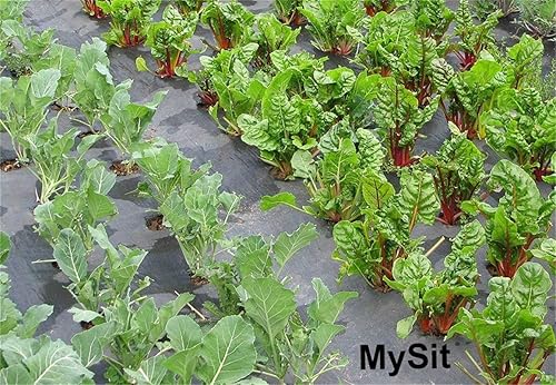 Miniatura 7 de Estacas de jardín, clavijas de anclaje de suelo, grapas de jardín en forma de U, clavijas para asegurar césped, granja, césped, césped, barrera de