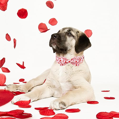 Miniatura 10 de Maca Bates - Collar de San Valentín para perro con lazo, cómodo y suave, collar de perro con hebilla de metal, ajustable, regalo para el día de San