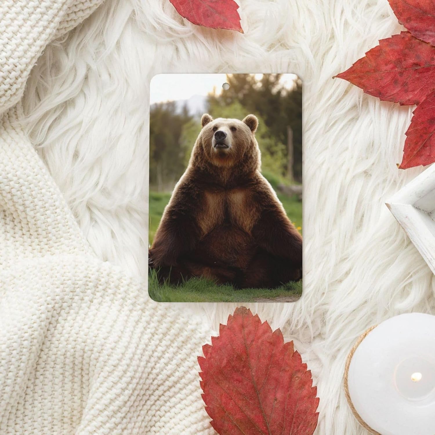 Car Air Freshener 24 PCS Hi Bear Sit on the lawn Hanging Car Air Fresheners Auto Interior Decor Card Freshener Strong Scented Card Lavender Cars Scents for Office Bedroom Close Drawer Rectangle