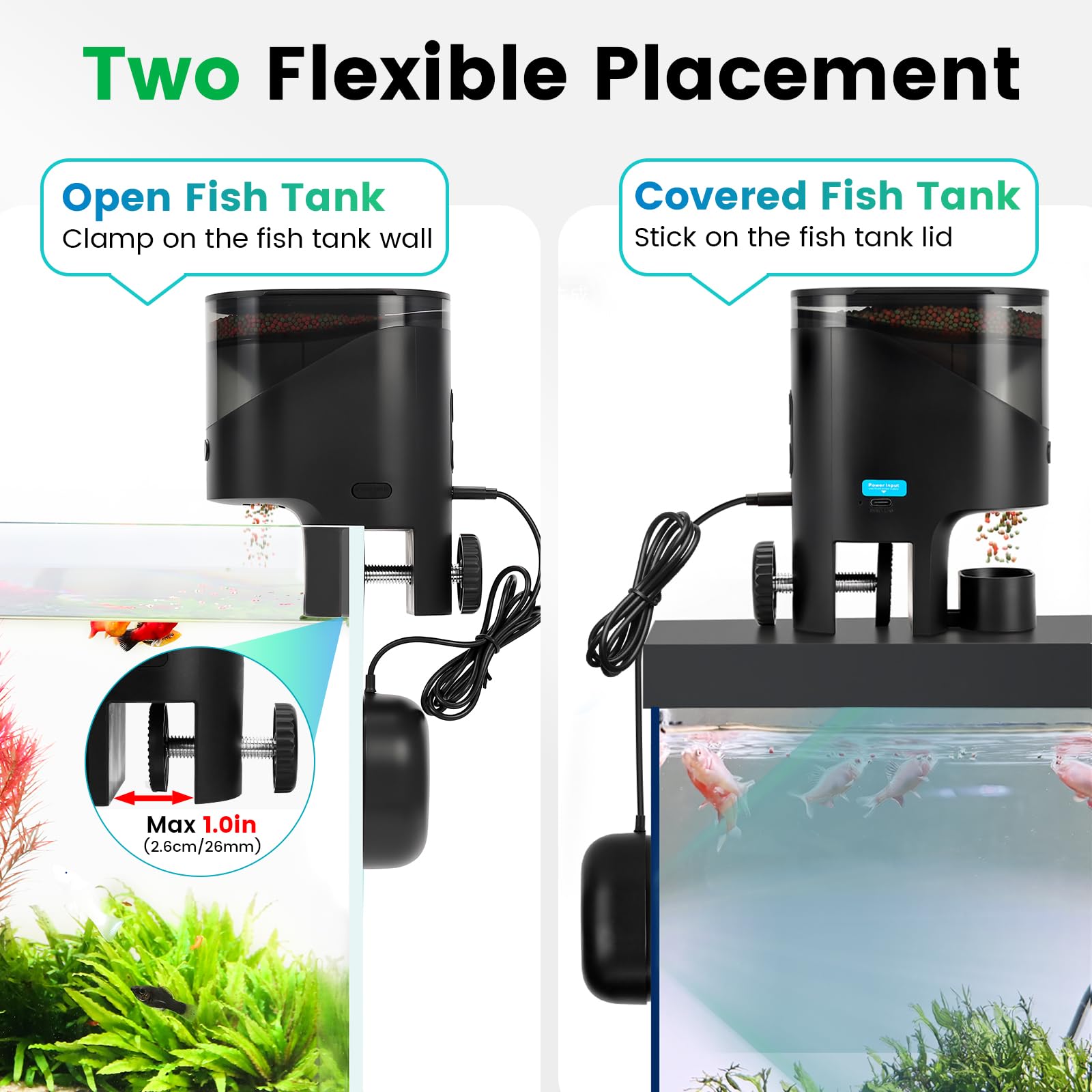 fishkeeper Mangiatoia automatica WiFi per acquario con fotocamera HD e app | Mangime automatico programmabile per pesci, con timer, 230 ml, per fiocchi, tartarughe, Wi-Fi (2,4/5 GHz)