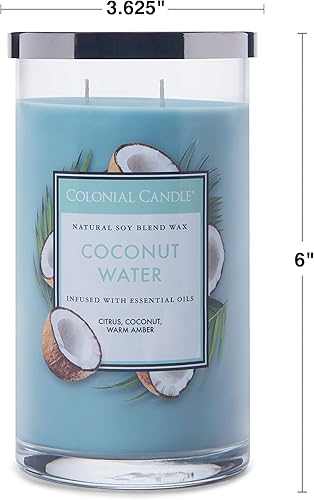 Vista 230 de Colonial Candle Vela perfumada en frasco, cilindros clásicos, brillo navideño, 2 mechas, 19 onzas, morado