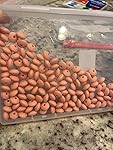 Review Image by Groovy61vibes