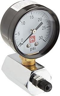 Eastman Gas Pressure Test Gauge, 30 PSI x 3/4 Inch IPS, 2 Inch Dial Face, Steel Case, 45167