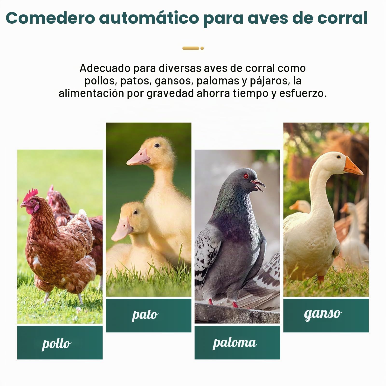 25LB Comederos Automáticos para Pollos de Acero Inoxidable Sin Residuos Alimentador Automático de Aves de Corral con Tapa Comedero Para Pollos Fácil de Limpiar