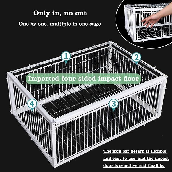 Gabbia per uccelli per piccioni, colombe e pappagalli, grande cattura uccelli, design durevole per una cattura e un alloggio efficaci - 2