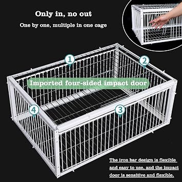 Birds trap,Bird trap catcher,Trap cage bird, Trap catcher,Large bird trap,Pigeon Coop Door for Racing Pigeons Doves Parrots Birds Window Door Bird Catching Breeding Supplies(100x60x26cm)