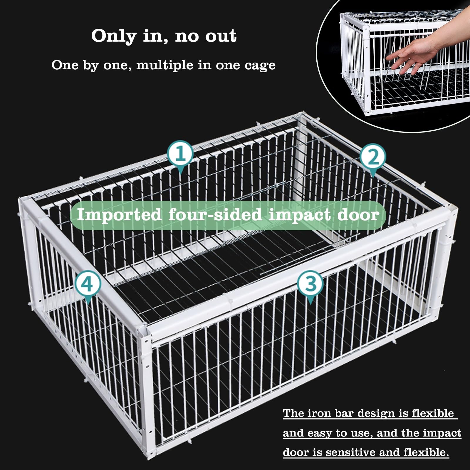 Trampa para pájaros, jaula grande para palomas, palomas y loros, ideal para criar y atrapar pájaros
