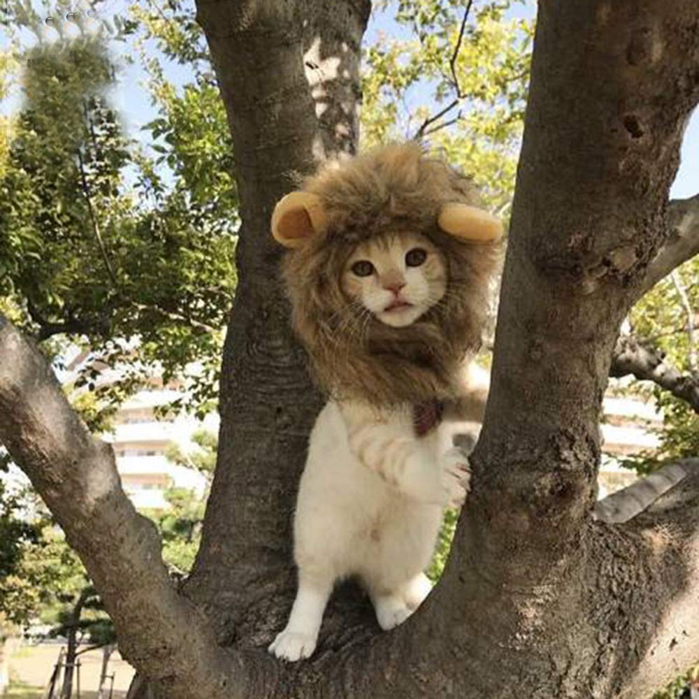 Amazon Liti ペット用帽子 猫用帽子 猫被り物 犬猫用ウィッグ ライオン コスプレキャップ たてがみ コスプレウィッグ 着ぐるみ 帽子 かつら 調節可能 着脱簡単 おしゃれ 可愛い 犬兼用 ハロウィン クリスマス Liti 服 アクセサリー 通販
