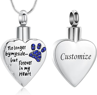 memorial jewelry No Longer by My Side,But Forever in My Heart Carved Locket Cremation Urn Necklace for Pet Dog Cats