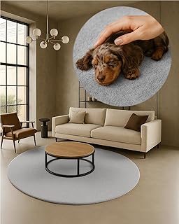 TEXMAXX Weicher Kurzflor Teppich Wohnzimmer mit rutschhemmender Rückseite (100 x 100 cm Rund) - Modern für Flur, Esszimmer und als Schlafzimmer Teppich in Hell-Grau-Silber - Waschbar bis 30 Grad