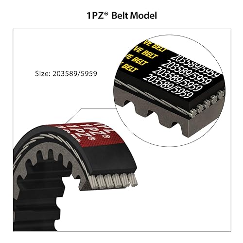 Miniatura 5 de 1PZ DB1-P30 Serie 30 Go Kart Correa de transmisión para reemplazar Manco 5959 / Comet 203589 (paquete de 3)