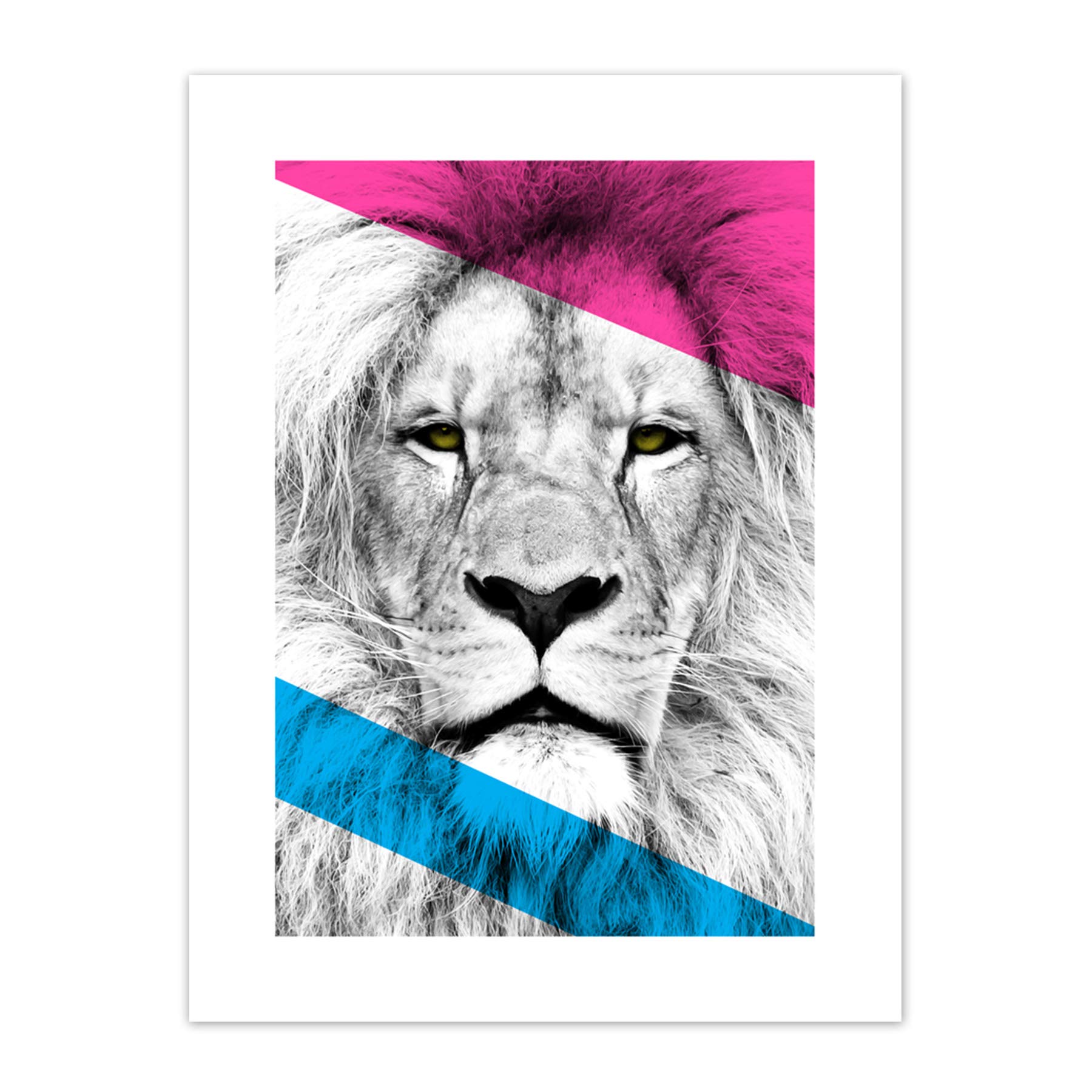 Wee Blue Coo Contemporary Bold CMYK Lion Art Print Canvas Premium Wall Decor Poster