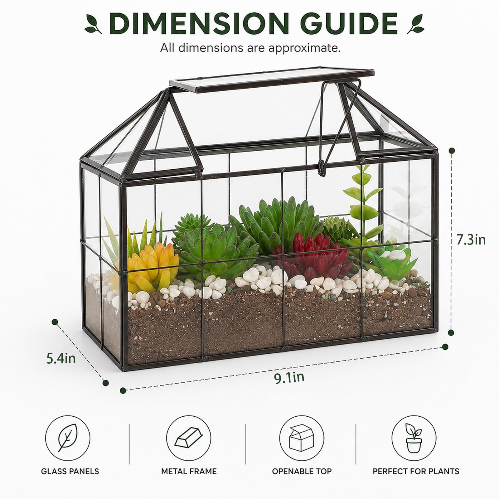 Ferrisland Terrario de Vidrio para Plantas de Aire, terrario de Vidrio para suculentas, Maceta geométrica Grande con Borde para suculentas, helechos, Plantas de Aire, Mesa, Regalo de Bricolaje,