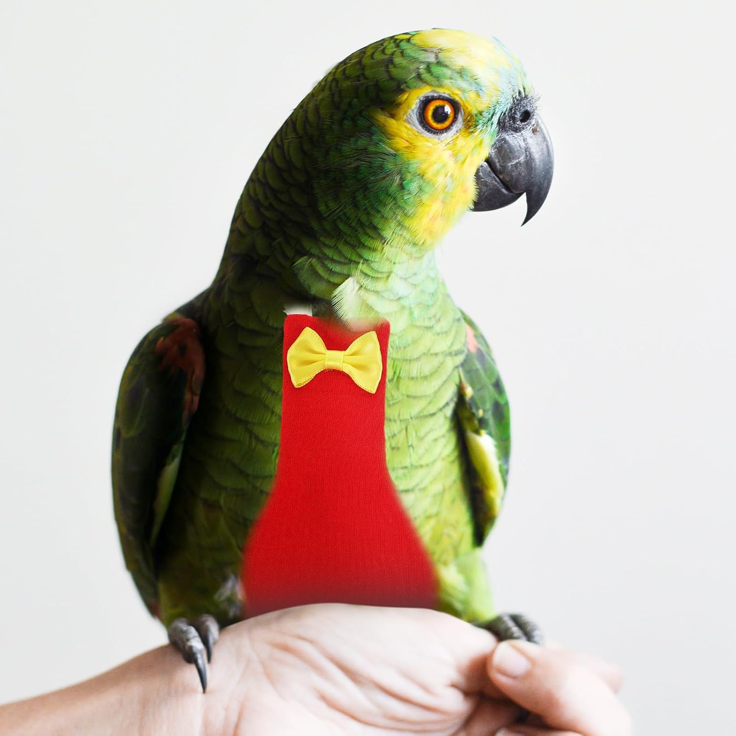 Bird Diaper Flight Suit with Protective Liner for Parrots and Parakeets Large Size Outdoor Bird Clothes and Conures