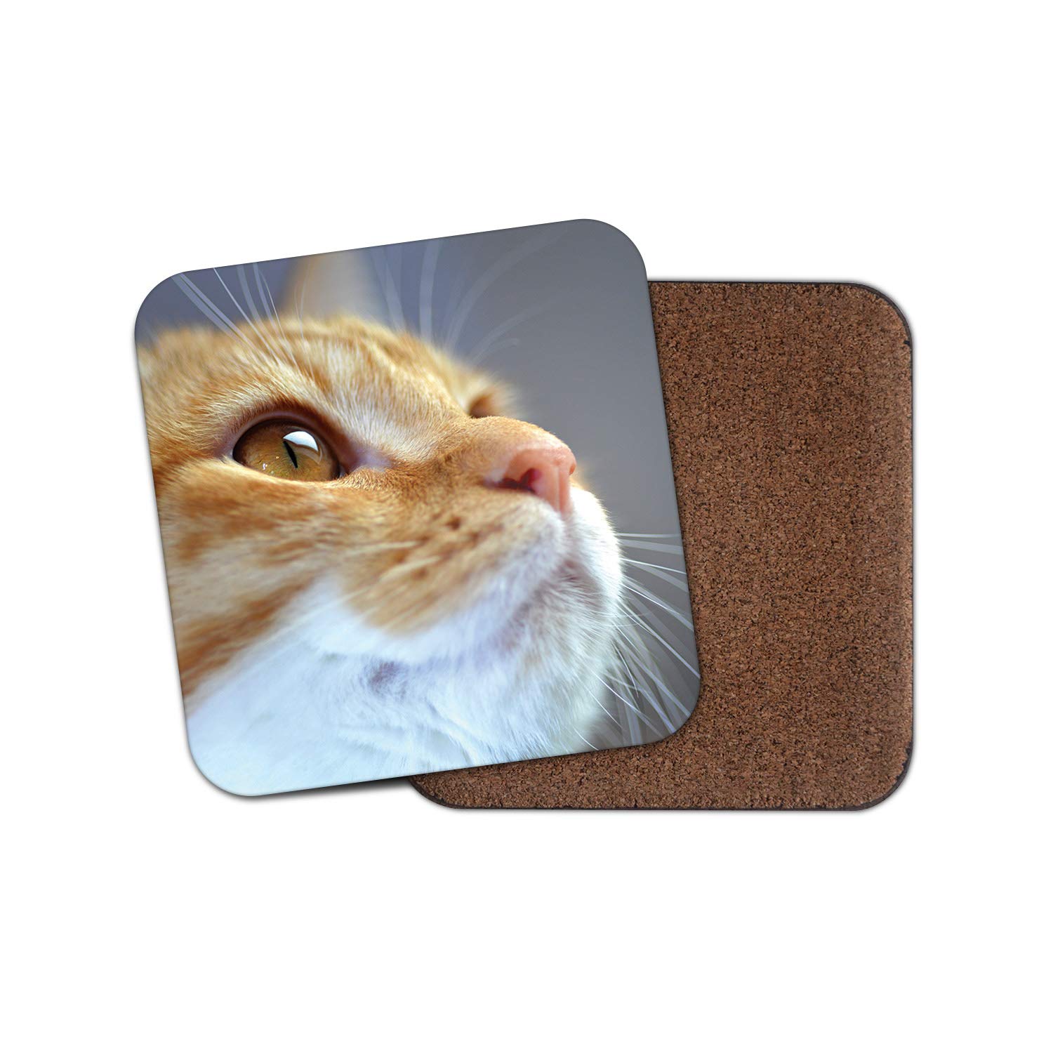 1 x Ginger Tom Cat Coaster - Kitten Cute Cats Pretty Pets Animal Gran #15270