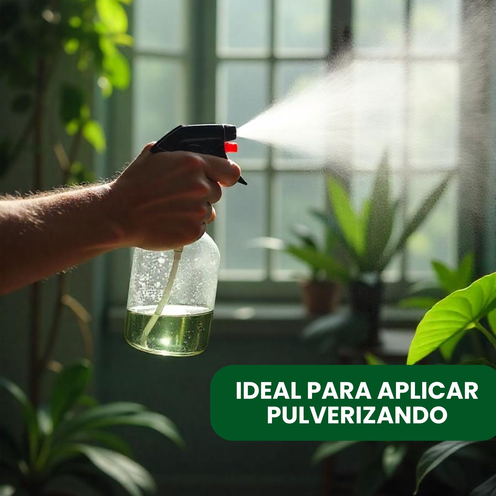 Plantawa Vinagre de Alcohol Concentrado 2 litros | Solución Natural para el Cuidado de Superficies | Acción Eficaz y Seguro | Desincrustante Calcáreo, Sin Residuo.