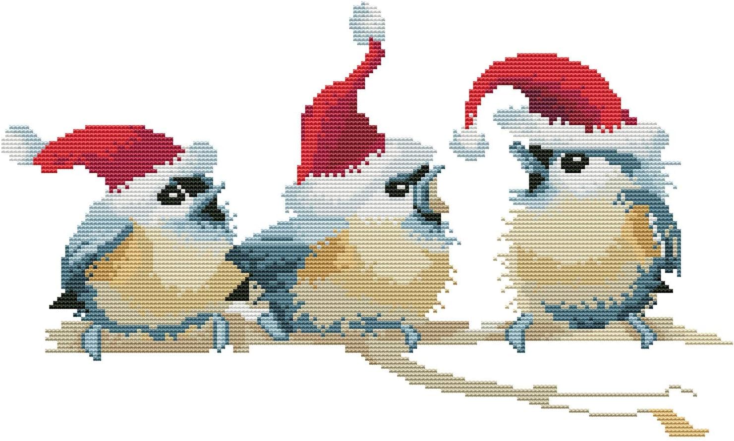Gofission 11ct Stamped Cross Stitch Kits for Adults Beginners, Three Bird with Christmas Hat DIY Pre Printed Cross Stitch Embroidery Set with Accessories Wall Decor 35x50cm (Bird)