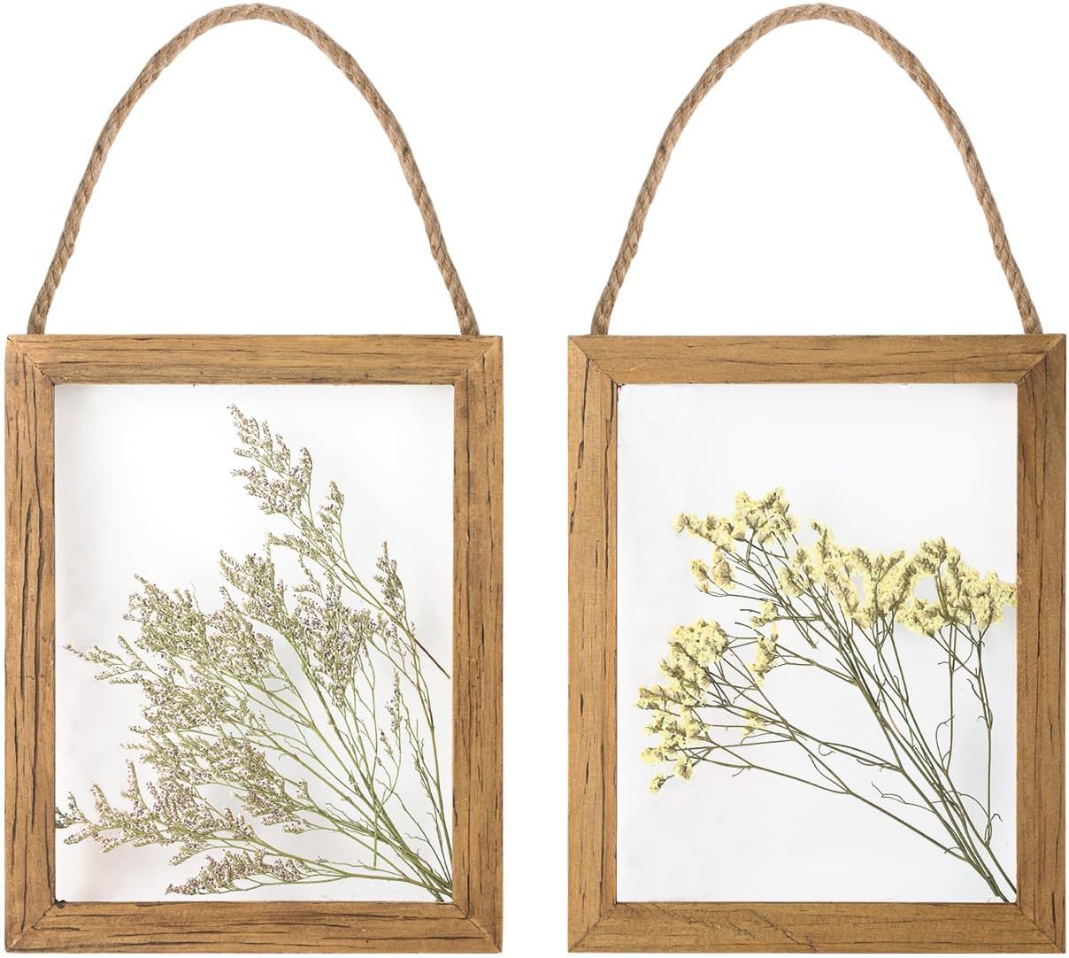 NIKky Home Dried Grass Flowers Wall Art Set of 2 - Real Natural Plants in Glass Frame, Jute Rope Hanging, Boho Living Room Gallery Decor
