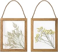 NIKky Home Dried Grass Flowers Wall Art Set of 2 - Real Natural Plants in Glass Frame, Jute Rope Hanging, Boho Living Room Gallery Decor