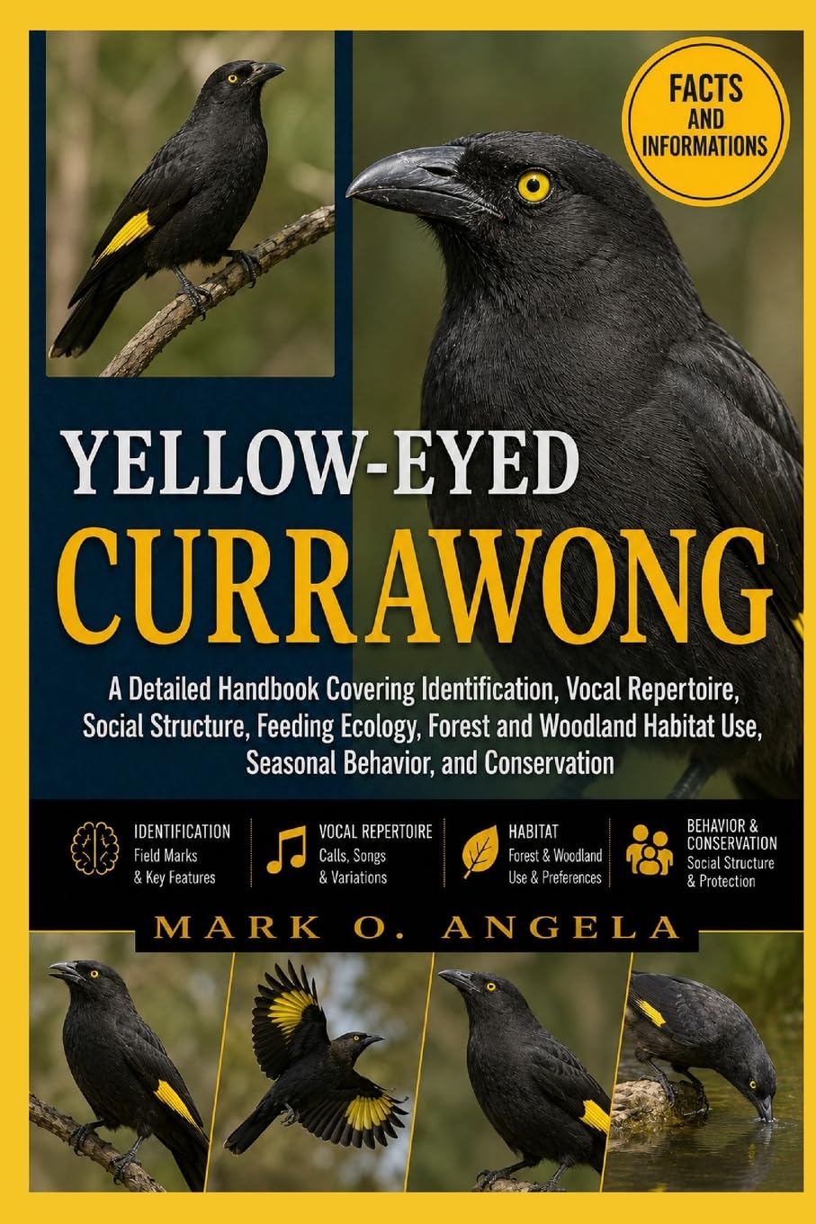 YELLOW-EYED CURRAWONG: A Detailed Handbook Covering Identification, Vocal Repertoire, Social Structure, Feeding Ecology, Forest and Woodland Habitat Use, Seasonal Behavior, and Conservation