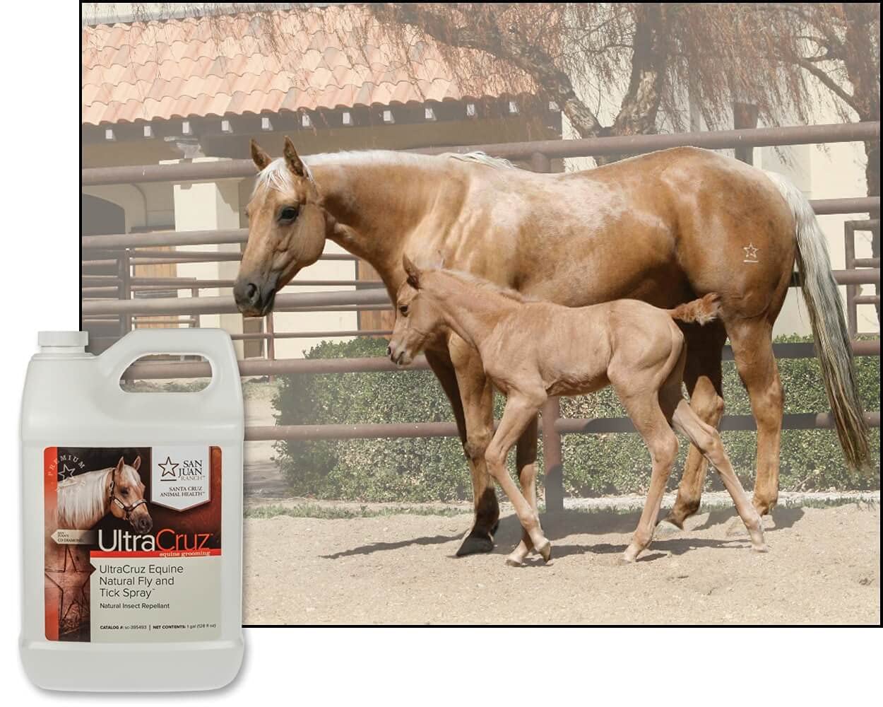 UltraCruz® Spray Natural contra Moscas y garrapatas para Caballos, 1 galón